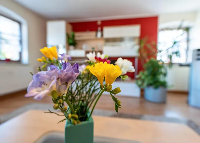 Pillnitzer Schlossblick Dresde