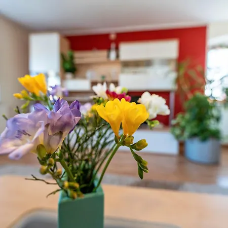 Pillnitzer Schlossblick Dresden